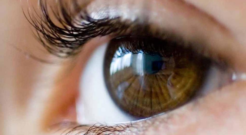 ¿Cuándo realizar un fondo de ojo? | Noticias al instante desde LAVOZ