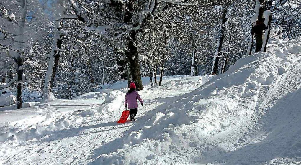 Operativos para mantener habilitados siete aeropuertos de la tras fuertes nevadas