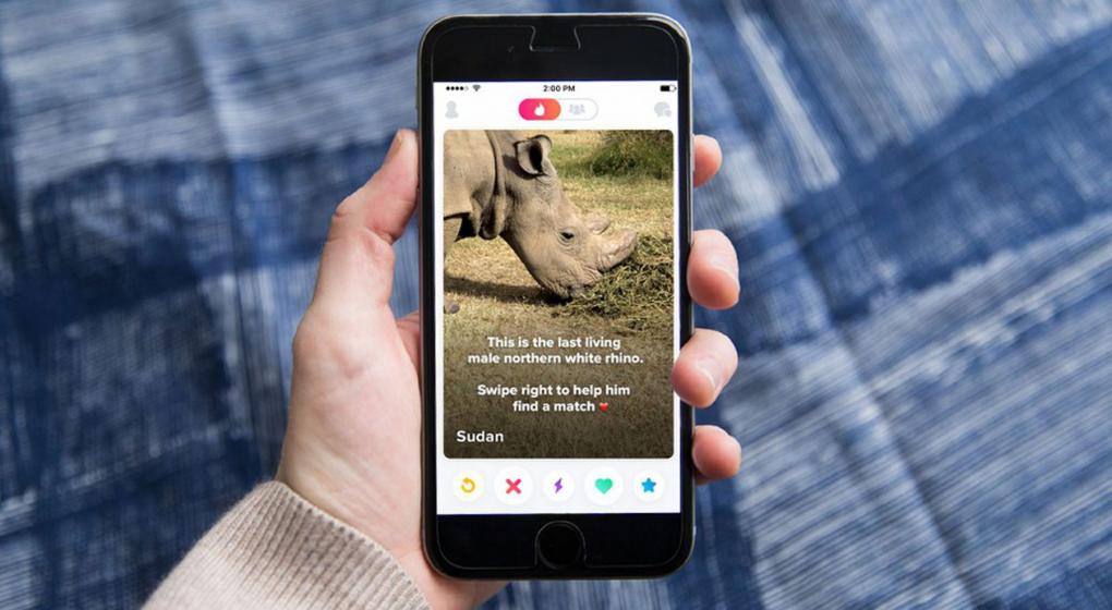 Rinoceronte busca pareja en Tinder