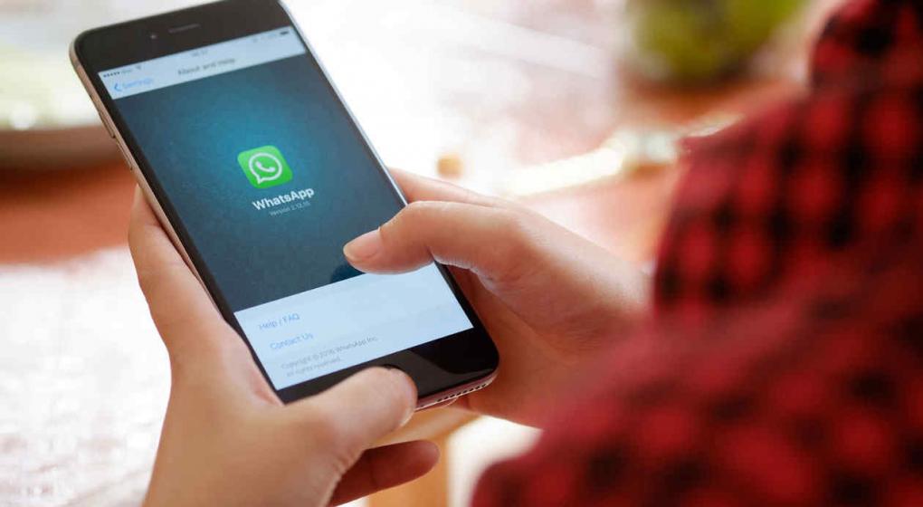 WhatsApp se actualiza con estados de texto y videollamadas PIP WhatsApp se actualiza con estados de texto y videollamadas PIP