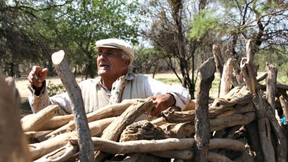 INFLUIDO LAS LENGUAS INDIGENAS EN EL ESPANOL influido las lenguas indigenas en el espanol: