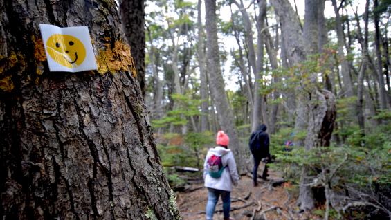 Tierra del Fuego también se vive en verano. Sus diferentes paisajes y lugares se prestan para vivirla caminando. (Martín Gunter/Infuetur)