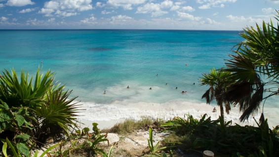 solteros de playa del carmen a tulum en vans