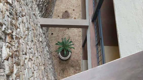 Los pisos del hotel y algunas paredes son de adoquines recuperados de viejos galpones del interior de Córdoba. (Soledad Soria) Los pisos del hotel y algunas paredes son de adoquines recuperados de viejos galpones del interior de Córdoba. (Soledad Soria)