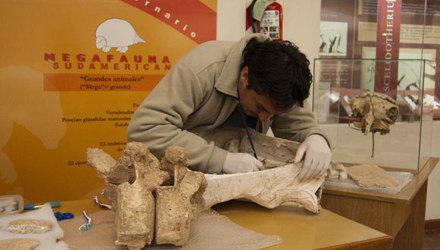 A DIARIO. El cuidado de las piezas en el Museo Provincial de Ciencias Naturales es una tarea cotidiana. (Foto Agencia Córdoba Cultura) 